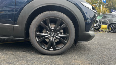 Mazda CX-30 2.5 e-Skyactiv G MHEV [140] Homura 5dr Petrol Hatchback